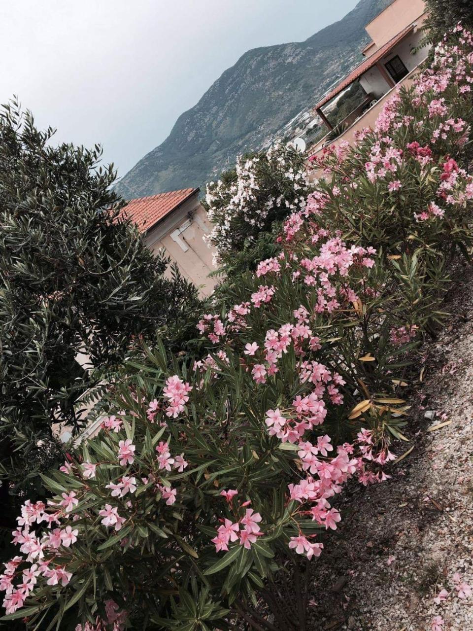Hegelberger Terracina Exterior foto